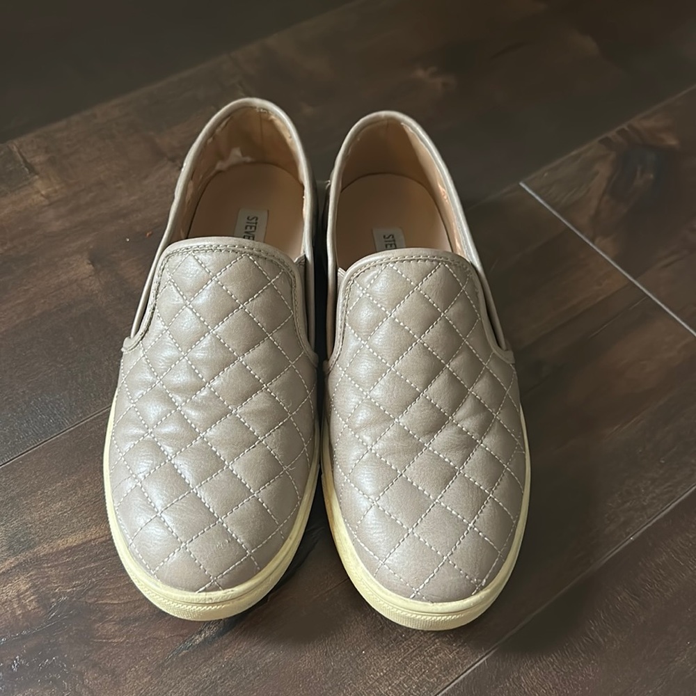 Steve Madden Ecentrcq Sneaker